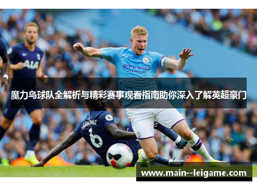 魔力鸟球队全解析与精彩赛事观看指南助你深入了解英超豪门