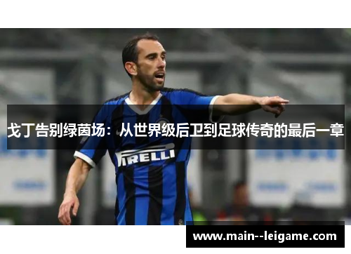 戈丁告别绿茵场:从世界级后卫到足球传奇的最后一章 戈丁告别绿茵场:从世界级后卫到足球传奇的最后一章
